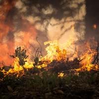 Waldbrand.jpg