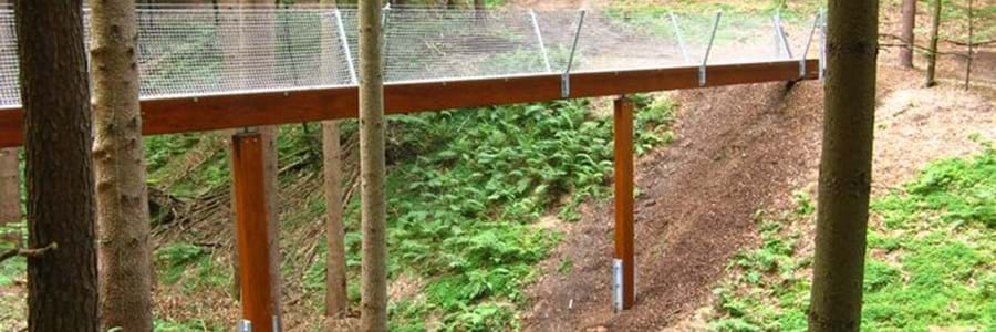 Schluchtüberquerung Waldlehrpfad