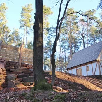 01 - Pfostenschlitzmauer und Keltenhaus.jpg