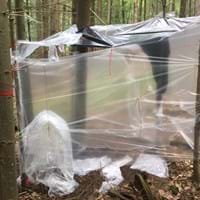 Plastikfolien Wald.jpg